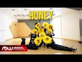 [솔라] ‘꿀 (HONEY)’ 안무영상 | HONEY BEE ver 🐝🍯