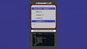 A PROGRAMMER LIFE #coding #programming #webdev