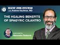 Healthy living livestream the healing benefits of spagyric cilantro