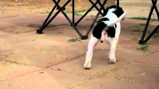 MVI_0708.AVI