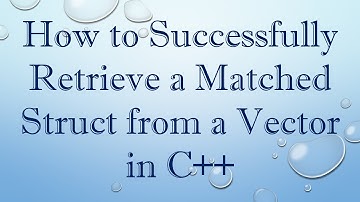 How to Successfully Retrieve a Matched Struct from a Vector in C+ +