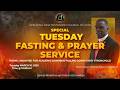 S N T C O G WEEKLY DELIVERANCE FASTING SERVICE TUESDAY MARCH 10 2026 BISHOP STEVE HEPBURN 