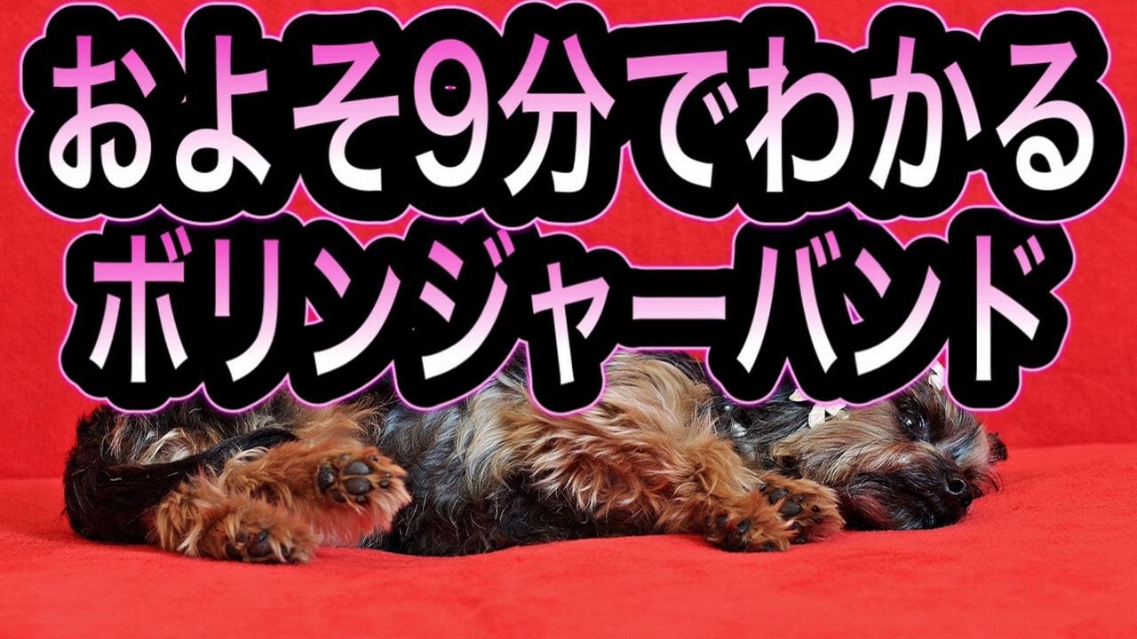 ボリンジャーバンドとは何か わかりやすく解説 Zai探 ボリンジャーバンドとは何か わかりやすく解説 Zai探