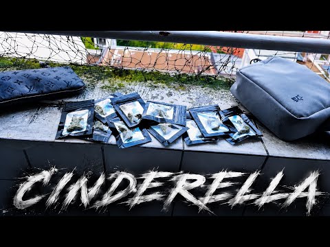 „Cinderella“ KERISHxASHEKxACAS081