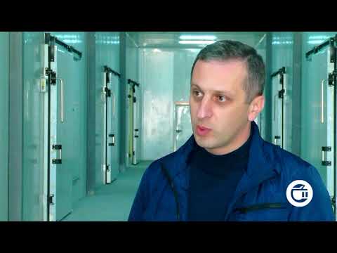 სიღნაღის მუნიციპალიტეტში თანამედროვე სტანდარტებით აღჭურვილი სამაცივრე მეურნეობა ამოქმედდა