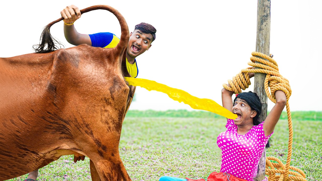 Trending Very Special Funny Comedy Video 😂Amazing Comedy Video 2026 Episode 601 Bidik Fun Tv