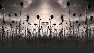 Dead Can Dance - 'Kiko'