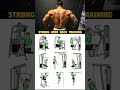 strong back workout 💪#strong #back #workout #shorts