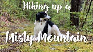 Hike with Me! Up a Misty Mountain by Airbender Dogs 805 views 4 years ago 9 minutes, 6 seconds