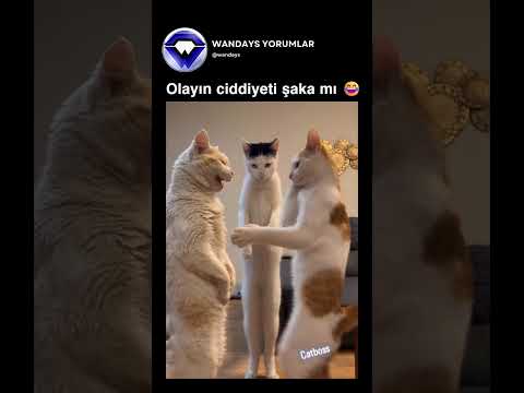 Olayın ciddiyeti şaka mı 😂