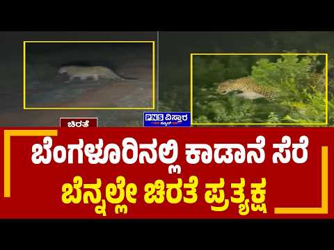 Bengaluru Leopard: ಚಿರತೆ ಪತ್ತೆಯಿಂದ ಆಂಚೆಪಾಳ್ಯ ನಿವಾಸಿಗಳಿಗೆ ಆತಂಕ | PNS Vistaara News