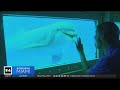 Miami Seaquarium owner files federal lawsuit against Miami-Dade County