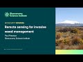 Remote sensing for invasive weed management