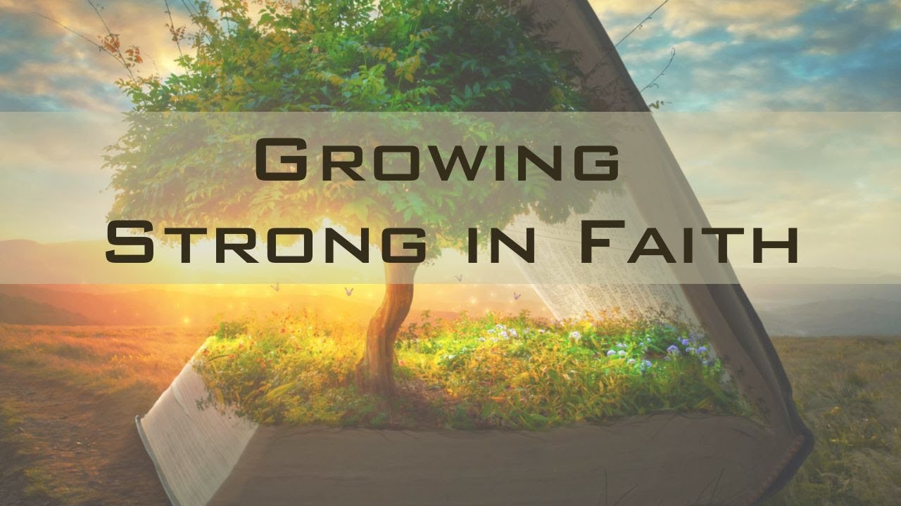 Contentment and Money