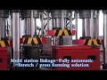 Multi station linkage fully automatic stretch press forming solution