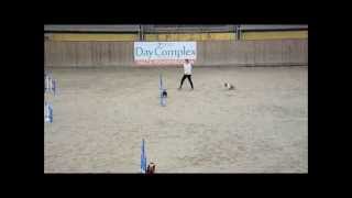 Marlena & Cody Zawody Agility 21-22.03.15R.