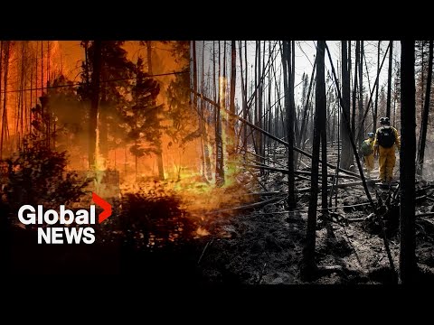 Future of wildfires: what will happen to canada's scorched forests as fires worsen?