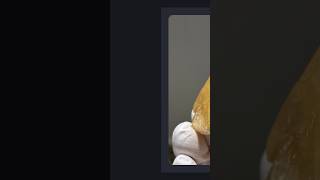 Video preview: Honey-Orange Scheelite — Xuebaoding, Sichuan, China · 3.3 cm | Natural Mineral Specimen