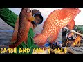 Lapu-lapu adventure , handline fishing | catch and cook & sale |