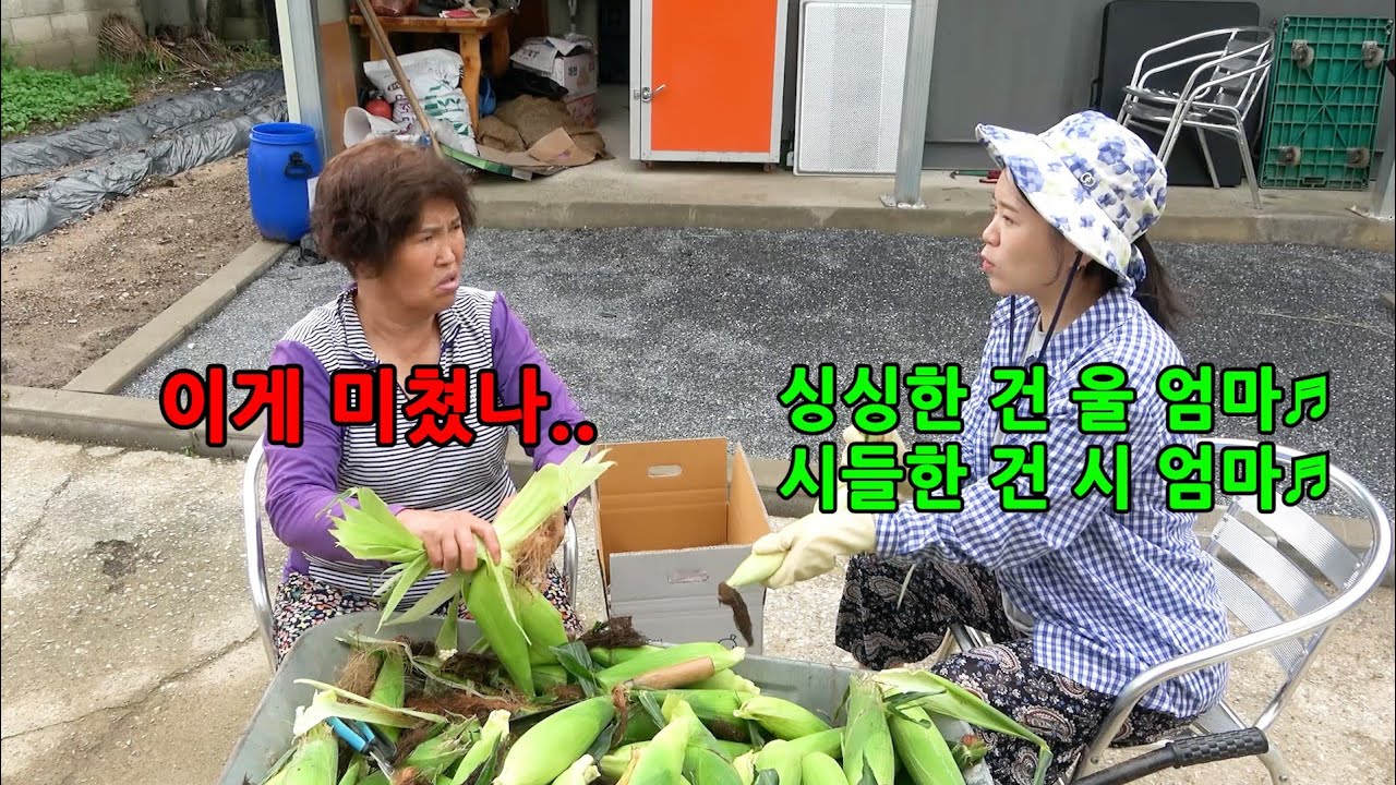 며느리가 사돈 갖다 줄 것만 좋은 걸로 챙긴다면?