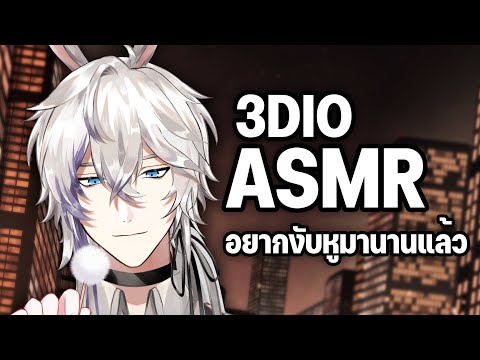 3DIO ASMR with Samuel "กระต่ายลูบๆ กระซิบข้างๆหู"