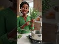 Make Rosemary Water 🌿#shorts #longhairgrowthtips #hairgrowth