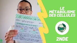 Le métabolisme des cellules - 2nde - Madame SVT