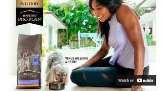 Venus Williams + Pro Plan / On Tennis, Her Dog and Motivation