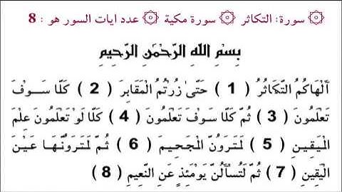 القارئ الزين محمد أحمد سورة التكاثر