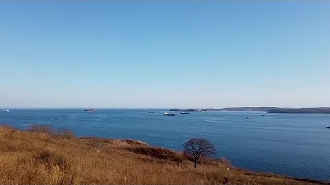 Quiet Bay Stock Video