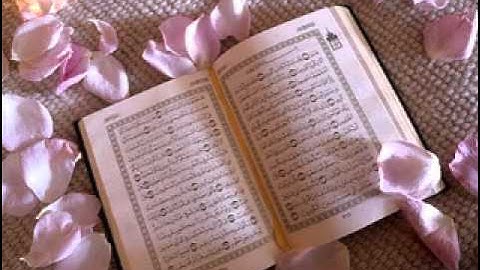 سورةالانبياء تلاوة الشيخ سلامة عبد الحميد رمضان