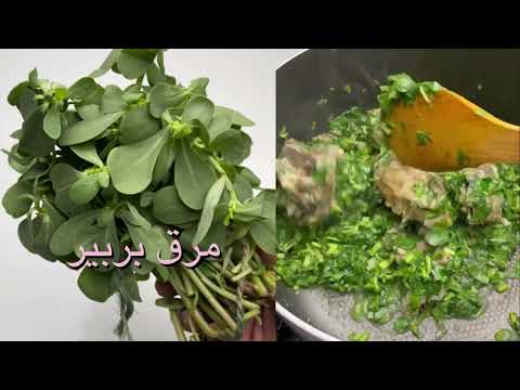 مرق البربير