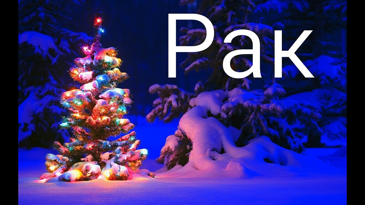Оригинальные подарки на Новый год 2019 Оригинальные подарки на Новый год 2019