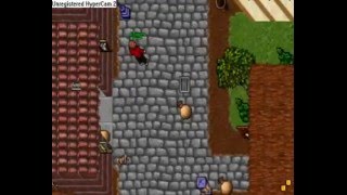 Tibia Grimera Noob Killing