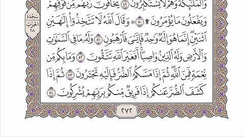 الحزب ٢٨ من القرآن الكريم بصوت الشيخ عبدالرشيد صوفي - وَقَالَ اللَّهُ لَا تَتَّخِذُوا إِلَٰهَيْنِ …
