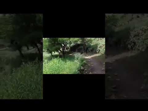 ياجماعه قوالو لي بصراحه٠٠٠ فيه أحد نستاهل نصلي عليه كل يوم غير محمد صلي الله عليه وسلم ٠