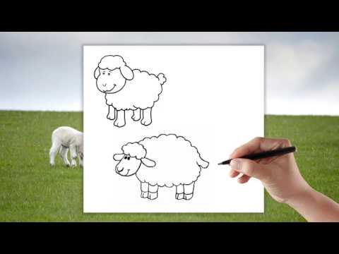 Video: Ako Nakresliť Baránka