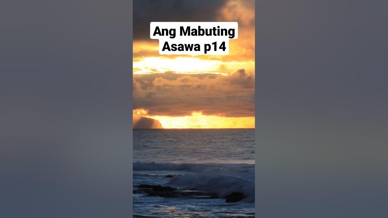 Ang Mabuting Asawa P14 Kawikaan 31 28 29 shorts angmabutingasawa ang-mabuting-asawa-p14-kawikaan-31-28-29-shorts-angmabutingasawa