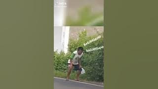 badjijngan bajingan