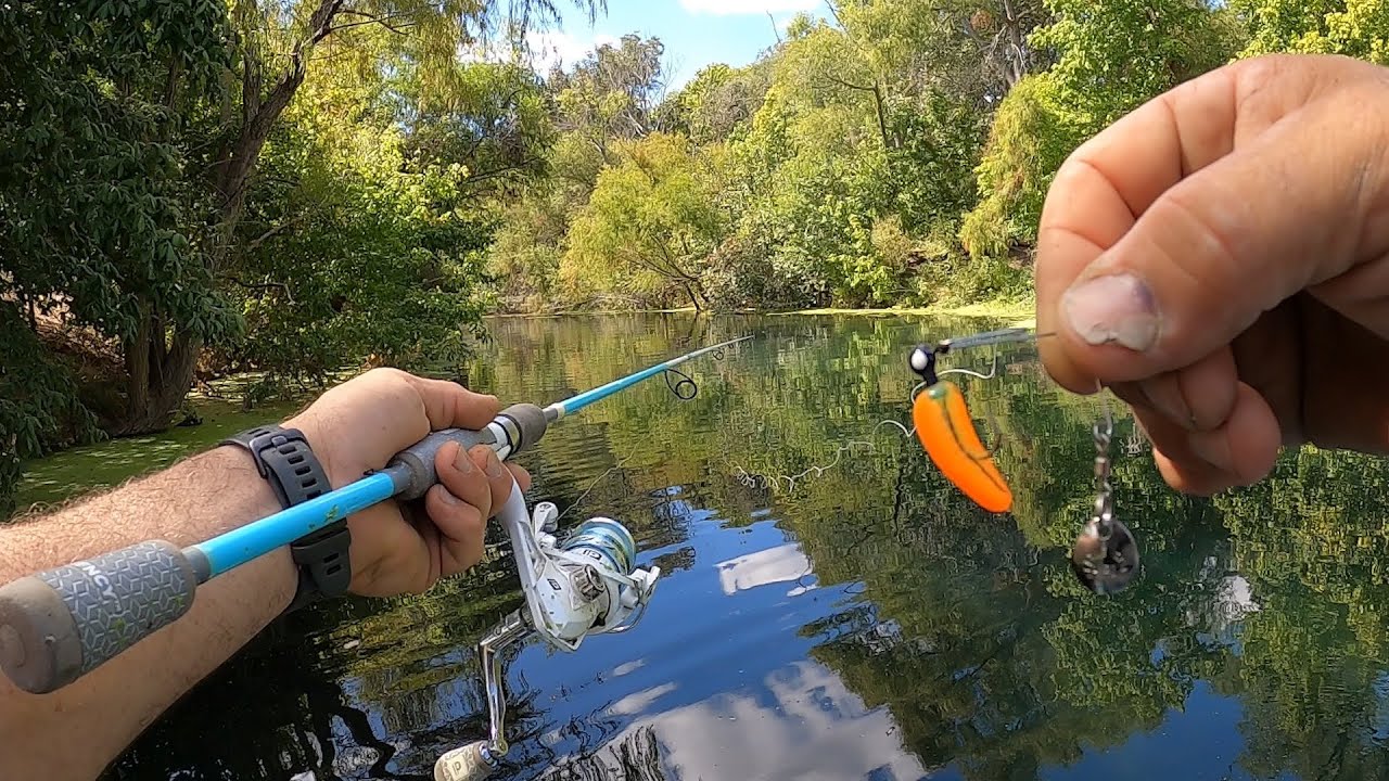 Это лучшая приманка для ловли рыбы в ручье? Beetlespin просто потрясающий!