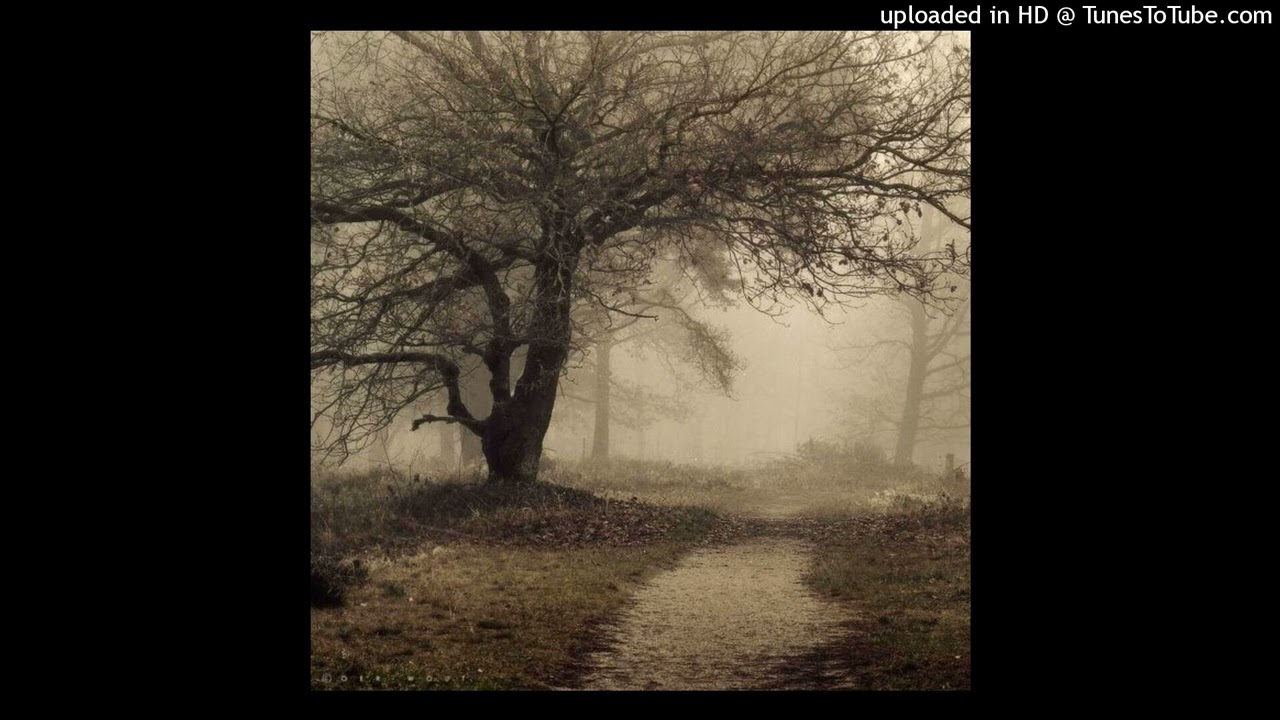 iheartmorphia type beat - fate