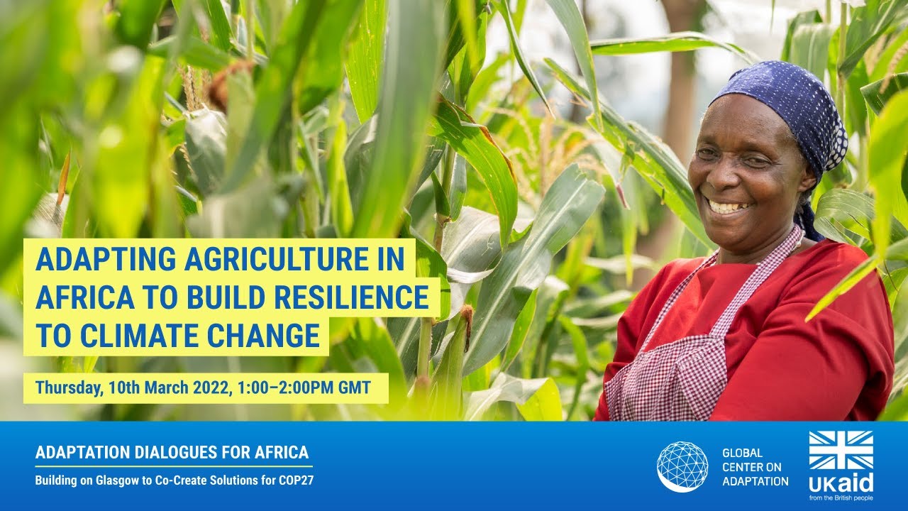 Webinar: Adapting agriculture in Africa to build resilience to climate ...