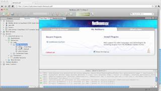 GlassFish 3.1 Launch: Developer Tools Support