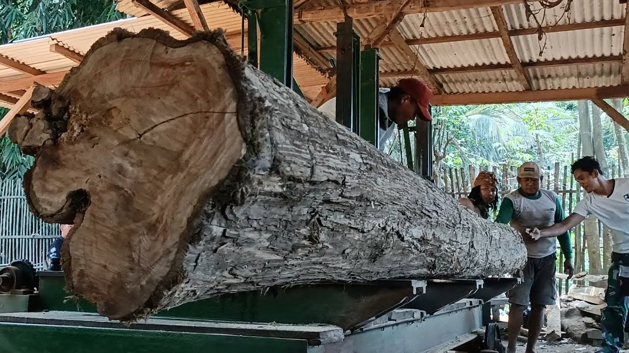 Revealing the stunning beauty of wood grain || Step by step tree stump ...