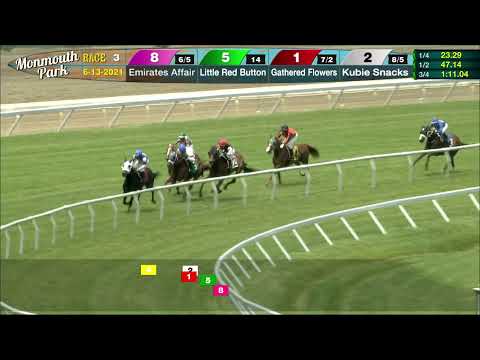 video thumbnail for MONMOUTH PARK 6-13-21 RACE 3