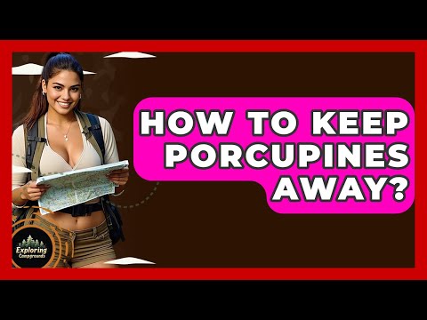 How To Keep Porcupines Away? - Exploring Campgrounds