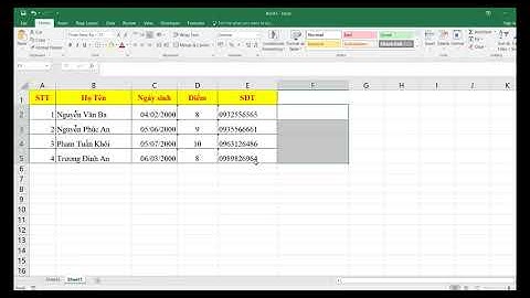 Định Dạng Dữ Liệu Trong Excel Từ Cơ Bản Đến Nâng Cao