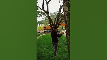 Robot Air Pembersih Lumpur mainan excavator bego || mud cleaning excavator robot is playing water 3
