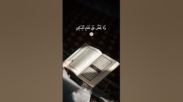 سورة الماعون🌼#قرآن #سورة_الماعون #تلاوة_قرآن #قرآن_كريم #ذكر_الله