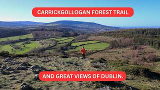 CARRICKGOLLOGAN FOREST PARK, AND A GREAT VIEW OF DUBLIN
